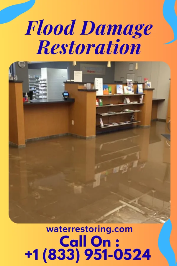 Flood Damage Restoration in Haralson, GA