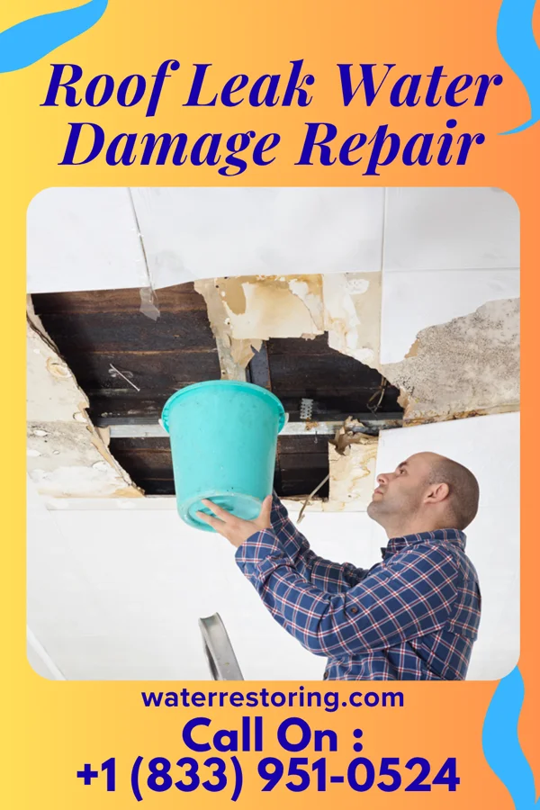 Roof Leak Water Damage Repair in Haralson, GA