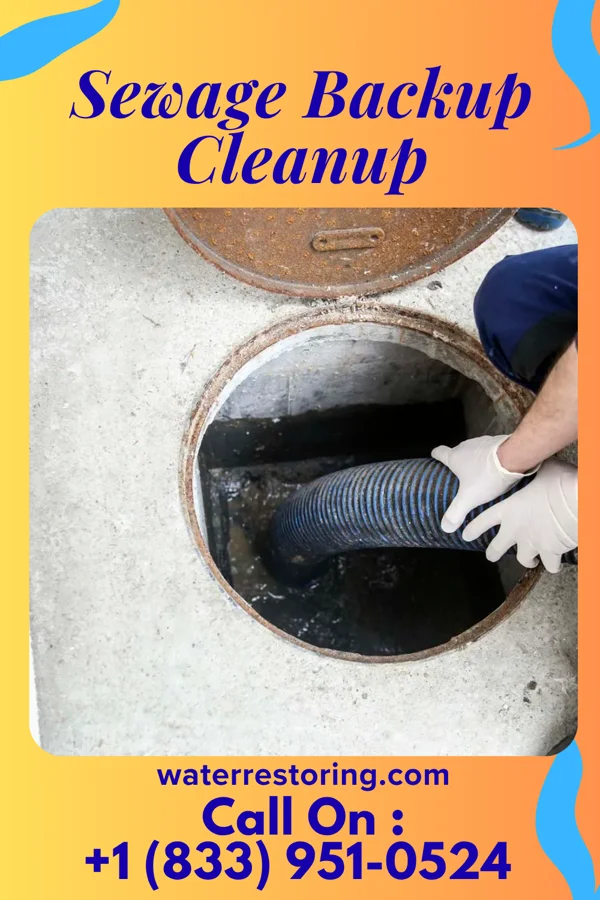 Sewage Backup Cleanup in Haralson, GA