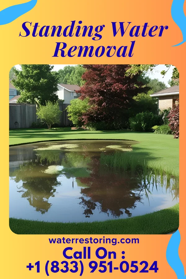 Standing Water Removal in Haralson, GA